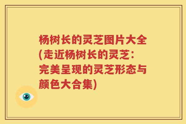 杨树长的灵芝图片大全(走近杨树长的灵芝：完美呈现的灵芝形态与颜色大合集)