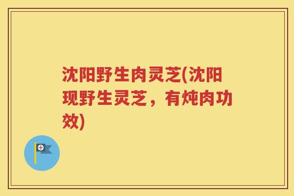 沈阳野生肉灵芝(沈阳现野生灵芝，有炖肉功效)