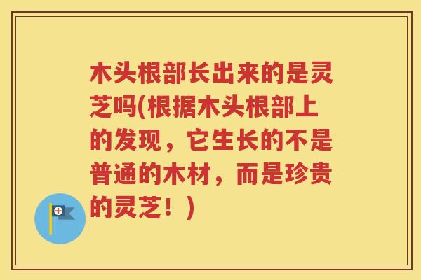 木头根部长出来的是灵芝吗(根据木头根部上的发现，它生长的不是普通的木材，而是珍贵的灵芝！)