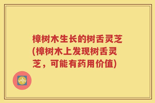 樟树木生长的树舌灵芝(樟树木上发现树舌灵芝，可能有药用价值)