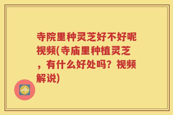 寺院里种灵芝好不好呢视频(寺庙里种植灵芝，有什么好处吗？视频解说)