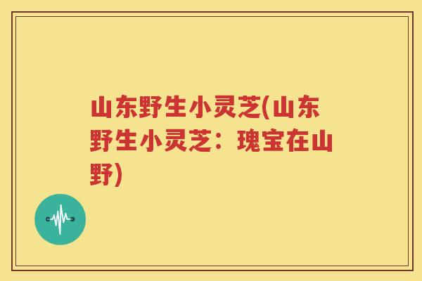 山东野生小灵芝(山东野生小灵芝：瑰宝在山野)