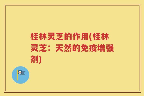 桂林灵芝的作用(桂林灵芝：天然的免疫增强剂)