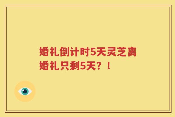 婚礼倒计时5天灵芝离婚礼只剩5天？！