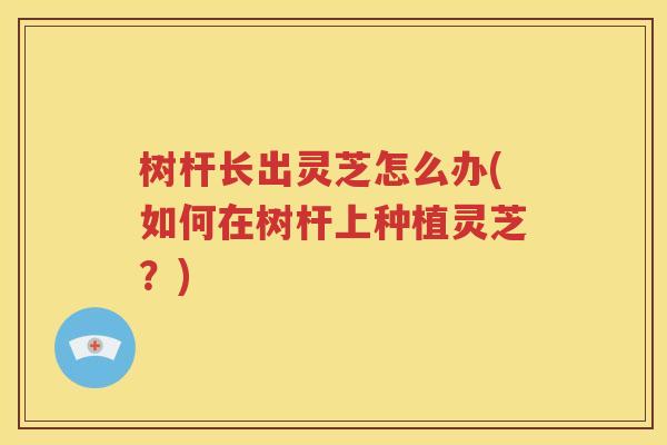 树杆长出灵芝怎么办(如何在树杆上种植灵芝？)