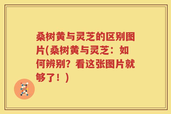 桑树黄与灵芝的区别图片(桑树黄与灵芝：如何辨别？看这张图片就够了！)