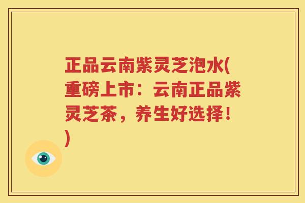 正品云南紫灵芝泡水(重磅上市：云南正品紫灵芝茶，养生好选择！)