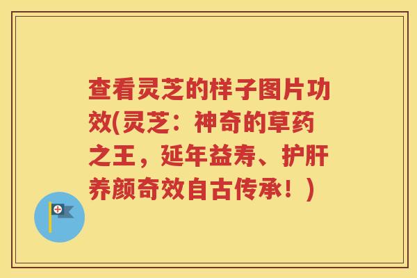 查看灵芝的样子图片功效(灵芝：神奇的草药之王，延年益寿、护肝养颜奇效自古传承！)