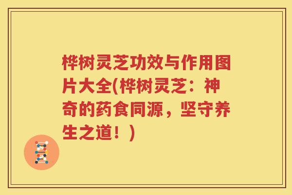 桦树灵芝功效与作用图片大全(桦树灵芝：神奇的药食同源，坚守养生之道！)