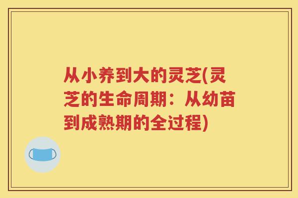从小养到大的灵芝(灵芝的生命周期：从幼苗到成熟期的全过程)