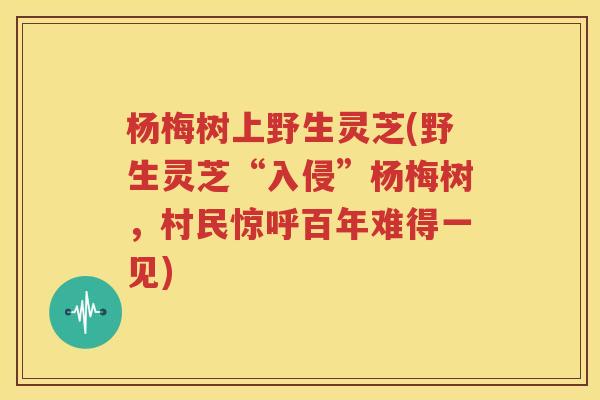 杨梅树上野生灵芝(野生灵芝“入侵”杨梅树，村民惊呼百年难得一见)