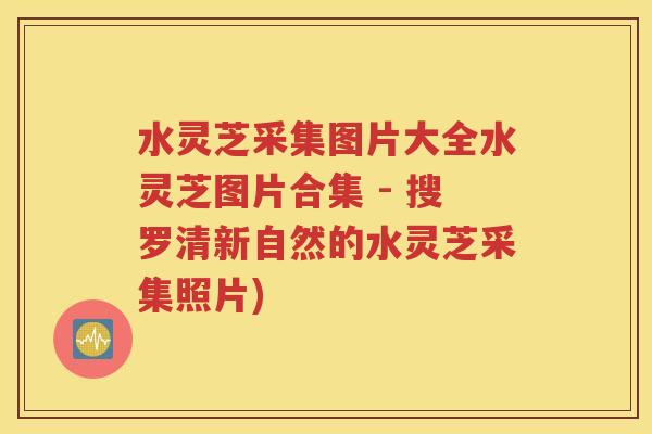 水灵芝采集图片大全水灵芝图片合集 - 搜罗清新自然的水灵芝采集照片)