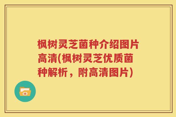 枫树灵芝菌种介绍图片高清(枫树灵芝优质菌种解析，附高清图片)