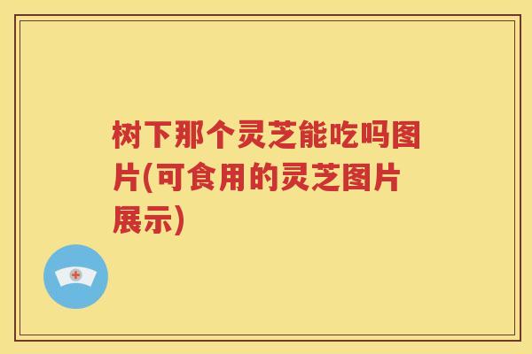 树下那个灵芝能吃吗图片(可食用的灵芝图片展示)