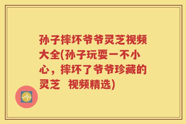 孙子摔坏爷爷灵芝视频大全(孙子玩耍一不小心，摔坏了爷爷珍藏的灵芝  视频精选)