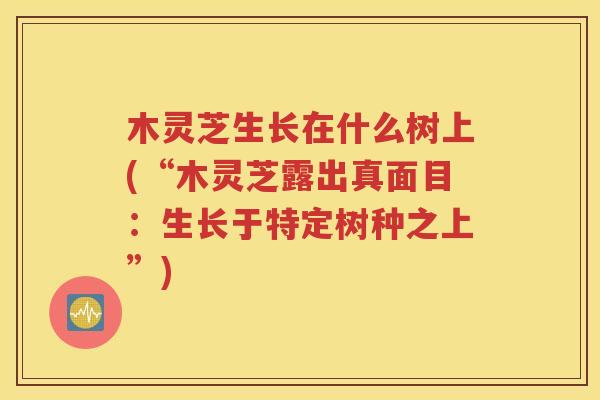 木灵芝生长在什么树上(“木灵芝露出真面目：生长于特定树种之上”)