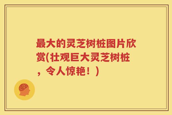 最大的灵芝树桩图片欣赏(壮观巨大灵芝树桩，令人惊艳！)