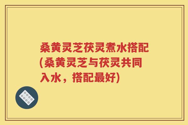 桑黄灵芝茯灵煮水搭配(桑黄灵芝与茯灵共同入水，搭配最好)