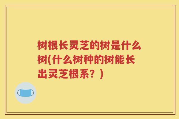 树根长灵芝的树是什么树(什么树种的树能长出灵芝根系？)