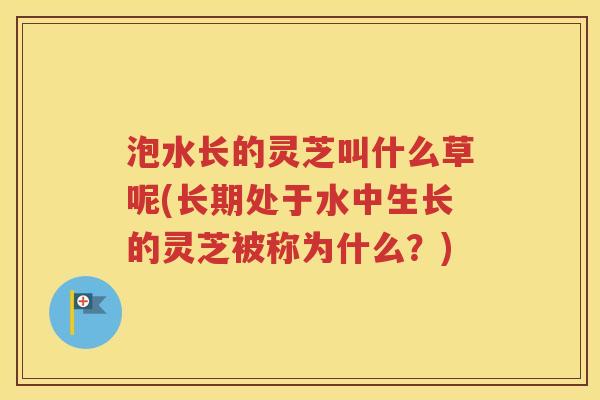 泡水长的灵芝叫什么草呢(长期处于水中生长的灵芝被称为什么？)