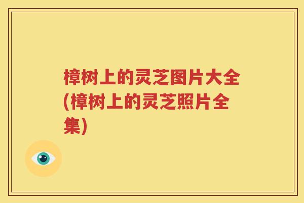 樟树上的灵芝图片大全(樟树上的灵芝照片全集)