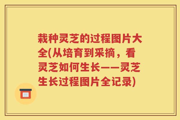 栽种灵芝的过程图片大全(从培育到采摘，看灵芝如何生长——灵芝生长过程图片全记录)