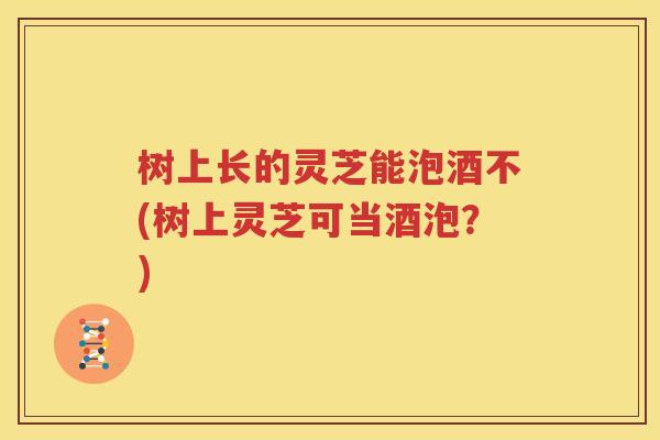 树上长的灵芝能泡酒不(树上灵芝可当酒泡？)