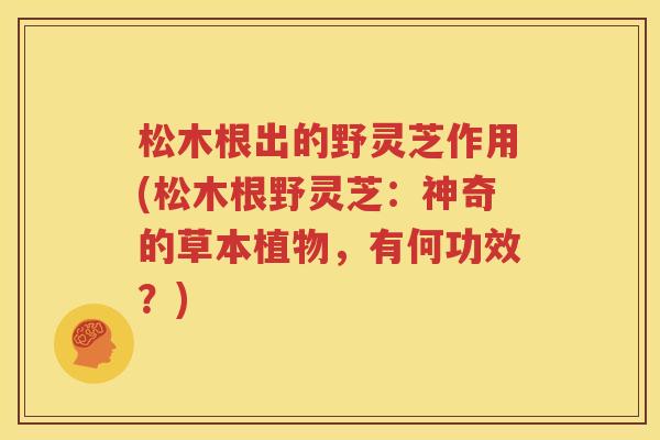 松木根出的野灵芝作用(松木根野灵芝：神奇的草本植物，有何功效？)