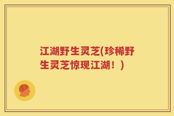 江湖野生灵芝(珍稀野生灵芝惊现江湖！)