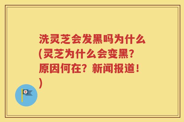 洗灵芝会发黑吗为什么(灵芝为什么会变黑？原因何在？新闻报道！)