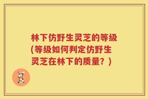 林下仿野生灵芝的等级(等级如何判定仿野生灵芝在林下的质量？)