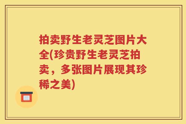 拍卖野生老灵芝图片大全(珍贵野生老灵芝拍卖，多张图片展现其珍稀之美)
