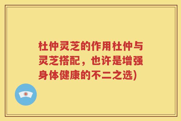 杜仲灵芝的作用杜仲与灵芝搭配，也许是增强身体健康的不二之选)