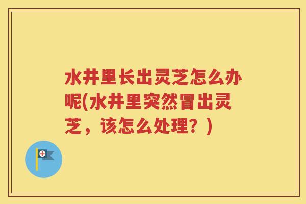 水井里长出灵芝怎么办呢(水井里突然冒出灵芝，该怎么处理？)