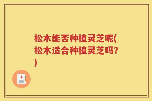 松木能否种植灵芝呢(松木适合种植灵芝吗？)