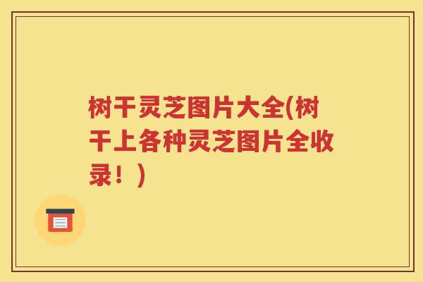 树干灵芝图片大全(树干上各种灵芝图片全收录！)