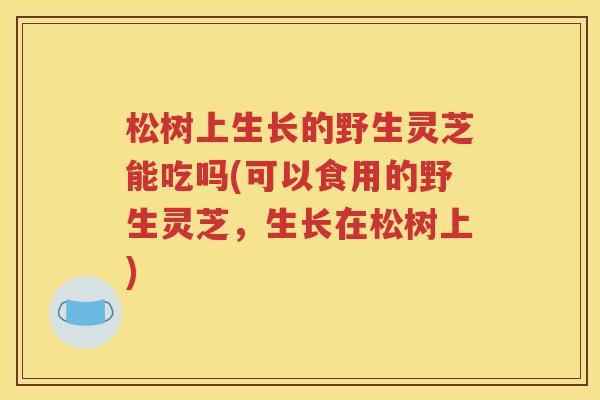 松树上生长的野生灵芝能吃吗(可以食用的野生灵芝，生长在松树上)