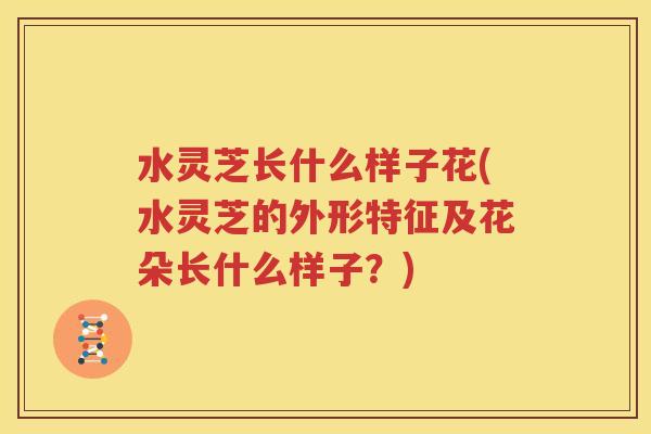 水灵芝长什么样子花(水灵芝的外形特征及花朵长什么样子？)