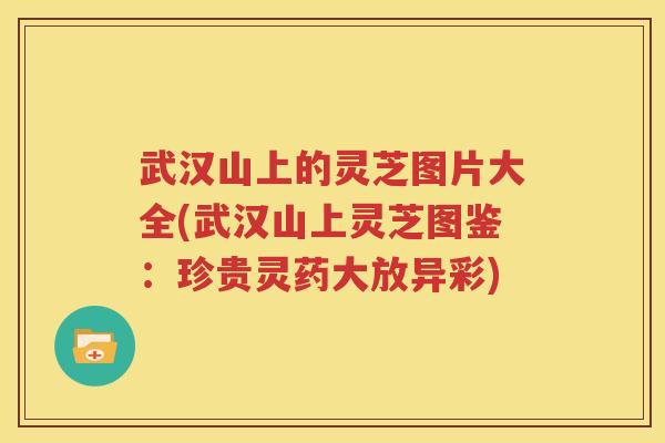 武汉山上的灵芝图片大全(武汉山上灵芝图鉴：珍贵灵药大放异彩)