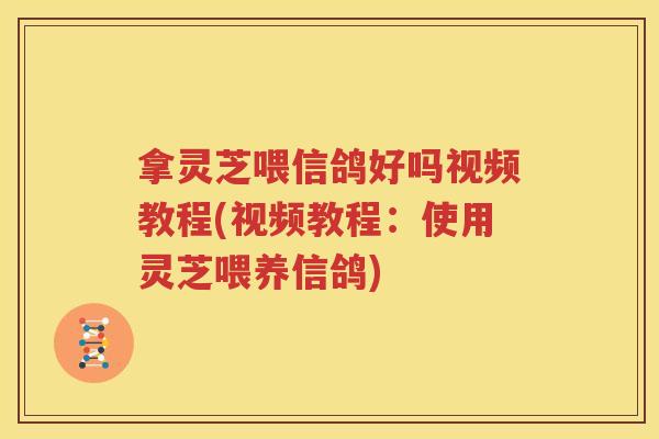 拿灵芝喂信鸽好吗视频教程(视频教程：使用灵芝喂养信鸽)