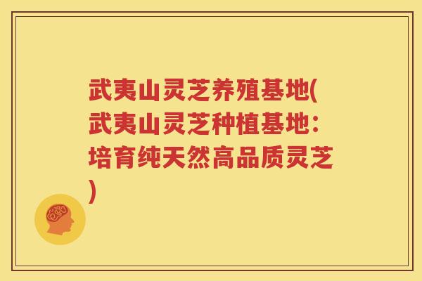 武夷山灵芝养殖基地(武夷山灵芝种植基地：培育纯天然高品质灵芝)
