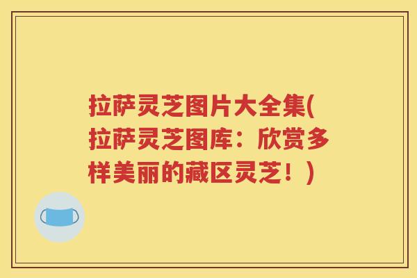 拉萨灵芝图片大全集(拉萨灵芝图库：欣赏多样美丽的藏区灵芝！)