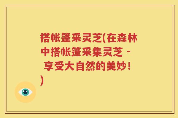 搭帐篷采灵芝(在森林中搭帐篷采集灵芝 - 享受大自然的美妙！)