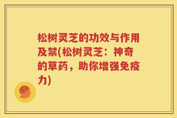 松树灵芝的功效与作用及禁(松树灵芝：神奇的草药，助你增强免疫力)