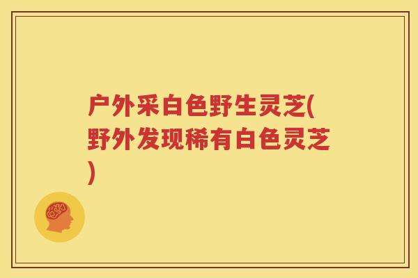 户外采白色野生灵芝(野外发现稀有白色灵芝)