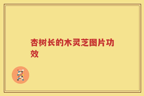杏树长的木灵芝图片功效