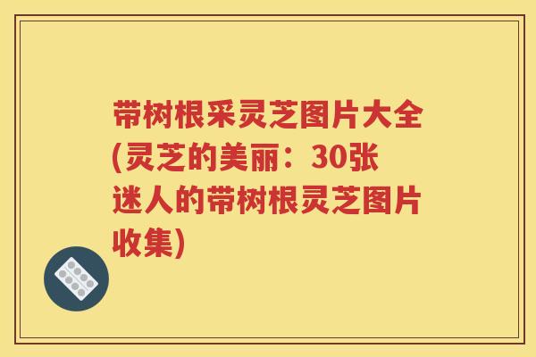 带树根采灵芝图片大全(灵芝的美丽：30张迷人的带树根灵芝图片收集)