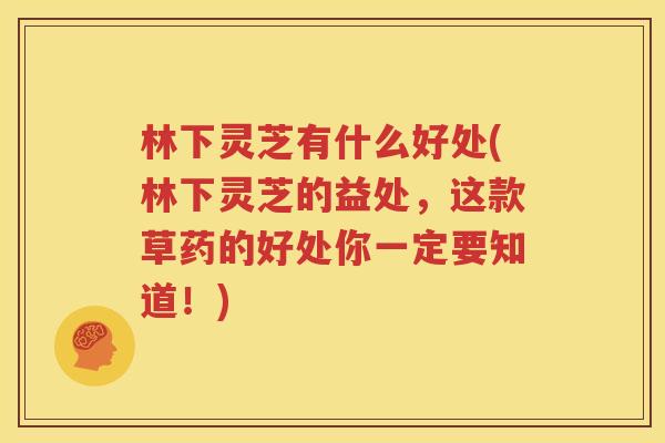 林下灵芝有什么好处(林下灵芝的益处，这款草药的好处你一定要知道！)