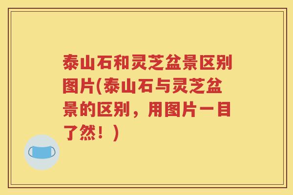泰山石和灵芝盆景区别图片(泰山石与灵芝盆景的区别，用图片一目了然！)