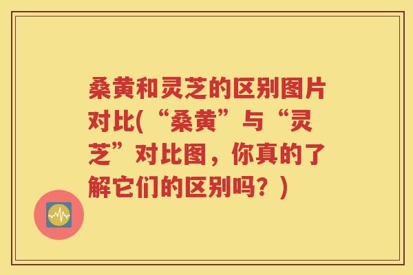 桑黄和灵芝的区别图片对比(“桑黄”与“灵芝”对比图，你真的了解它们的区别吗？)